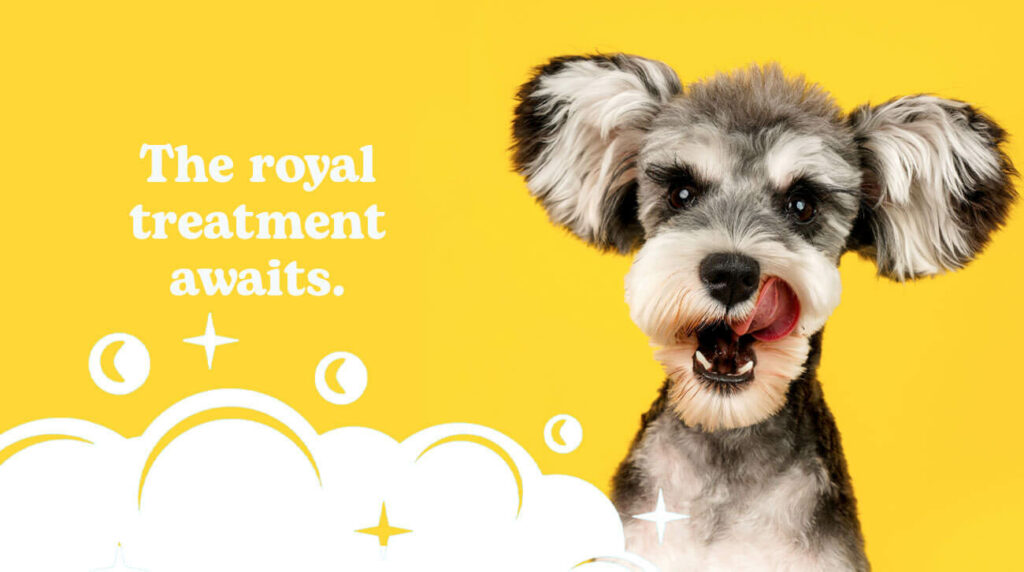 Doggy parlour